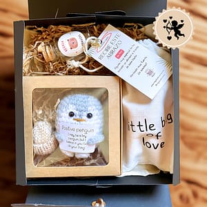 PACK Pinguino especial san valentin